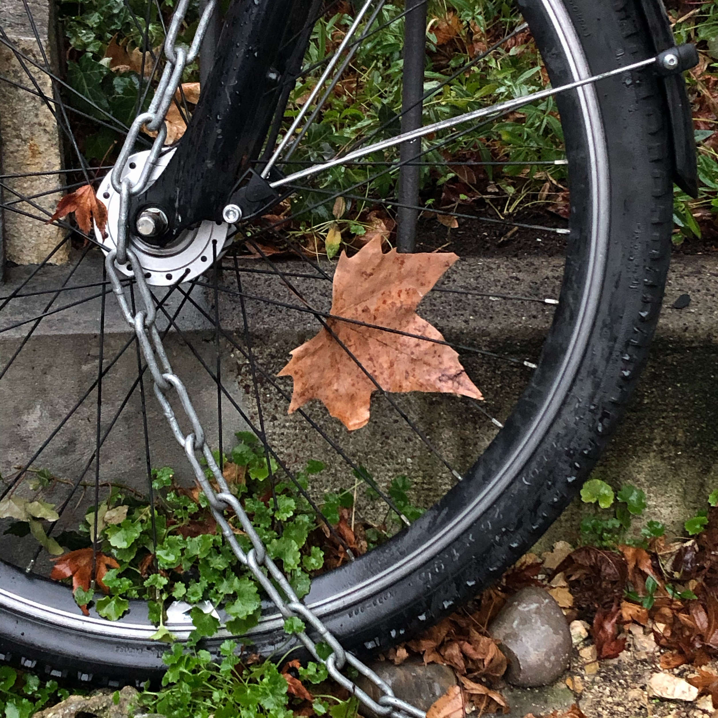 Fahrrad, Kette, Blätter und Stein