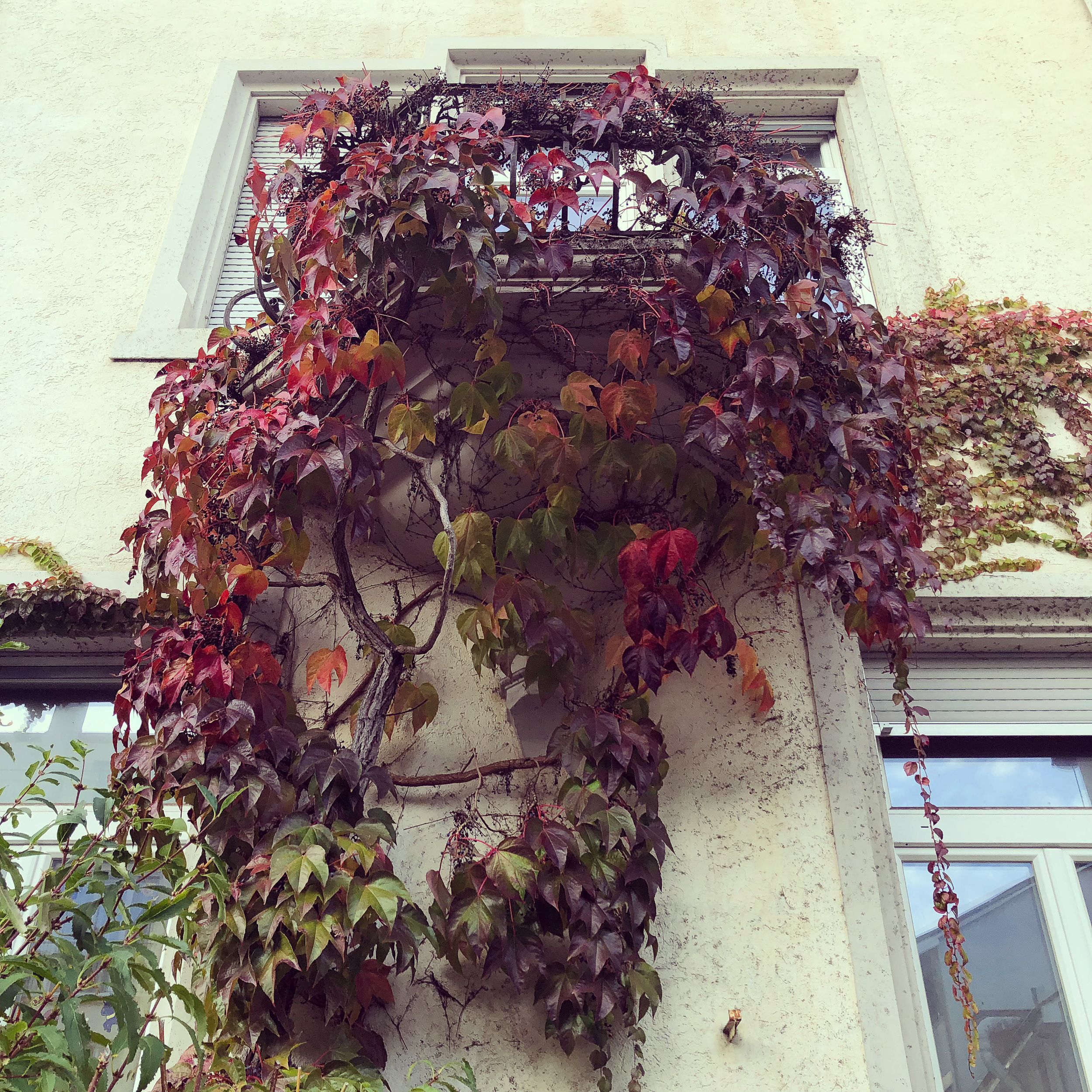 Herbstlicher Balkon