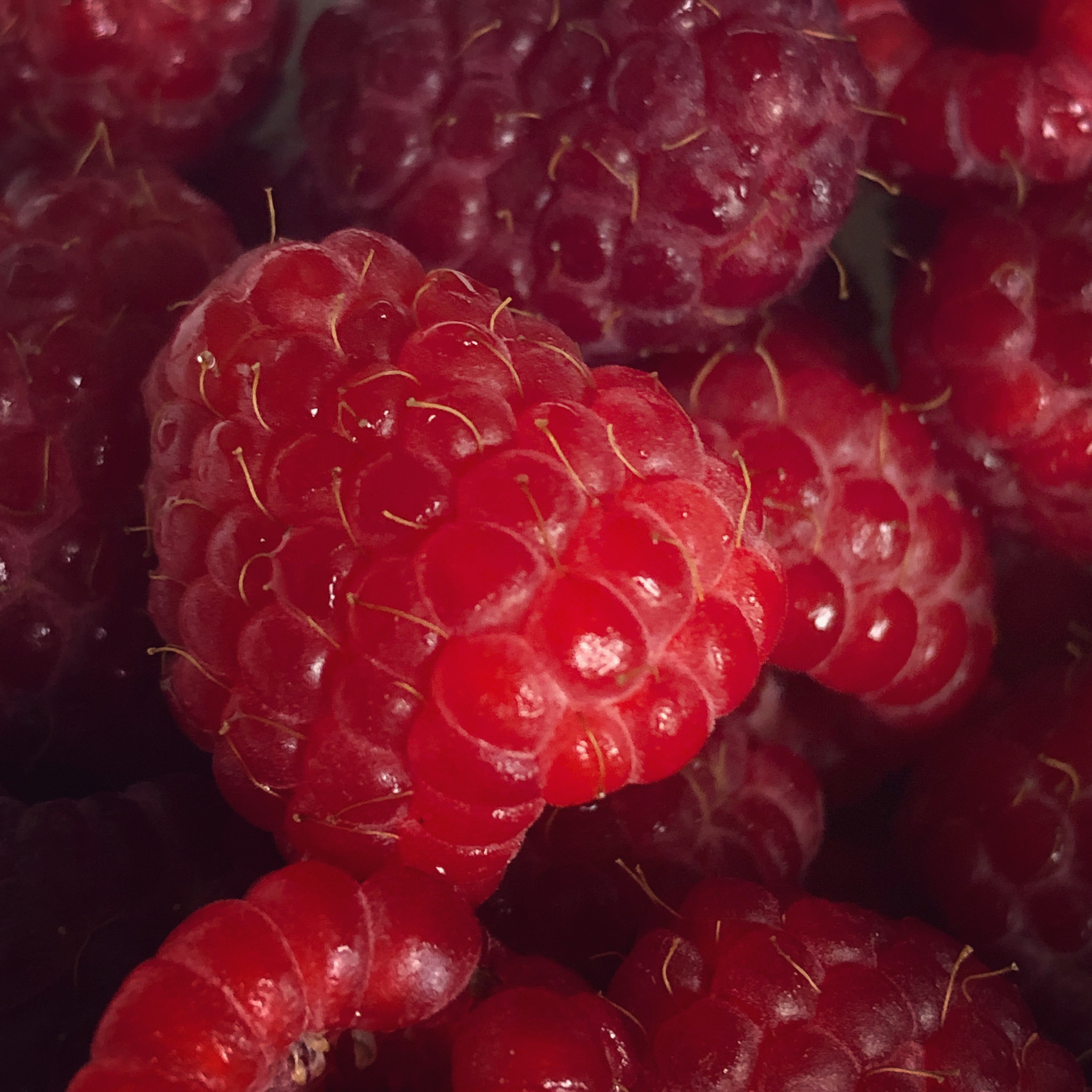 Himbeeren